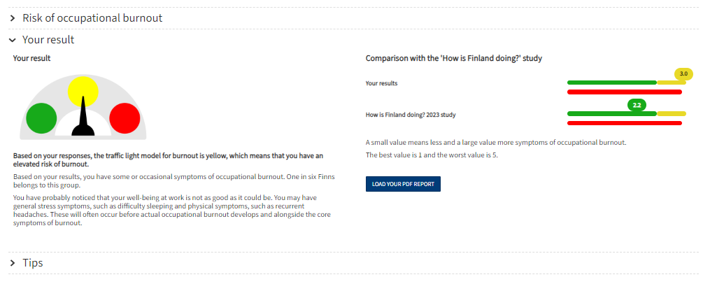 tyouupumuksen-liikennevalot-raportti-eng
